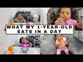 WHAT MY ONE YEAR OLD EATS IN A DAY.