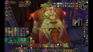 Classic WoW Naxx 40 man druid MT PoV