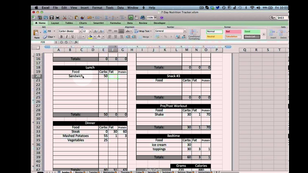 Excel Nutrition Tracking Template - YouTube