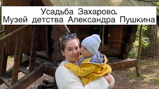 Подмосковье. Усадьба Захарово. Музей детства Александра Сергеевича Пушкина. Куда сходить с детьми?