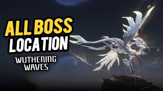 All Boss Location - All Boss Fight (Overlord & Calamity Echo) | Wuthering Waves