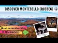 BEST THINGS TO DO IN MONTEBELLO (QUEBEC) // Parc Omega at night & hiking in Kenauk Nature