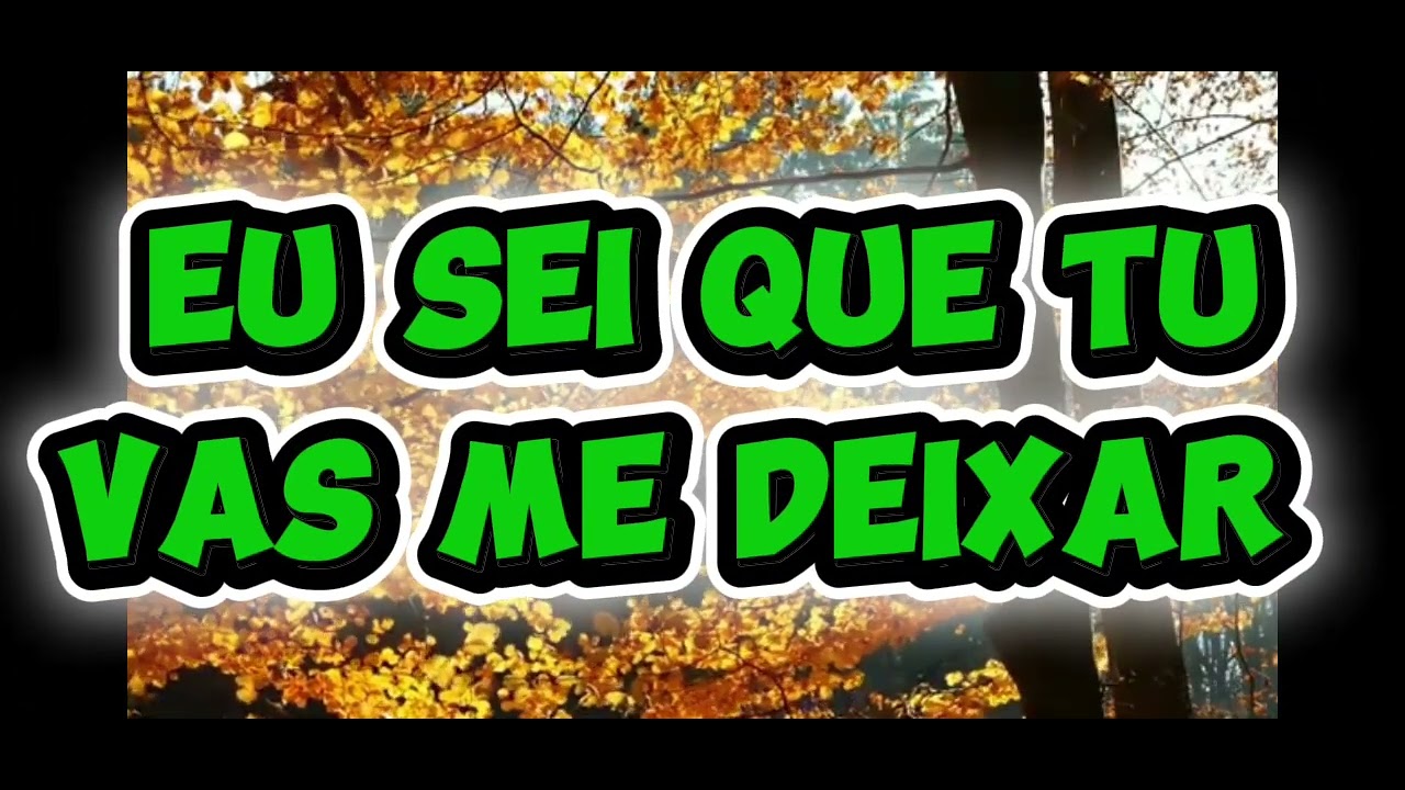 KARAOKÊ ÉS O MEU AMOR 