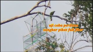 mikat cucak ijo mini || uji coba perdana sangkar pikat full fiber