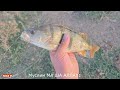 Рыбалка в Дагестане. Как ловить крупного окуня.