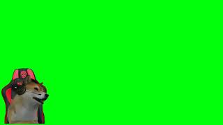 GREEN SCREEN HEWAN ANJING SEPERTI DAY HELDER