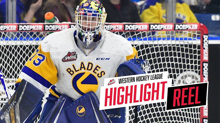 2018-19 HIGHLIGHT REEL | Nolan Maier