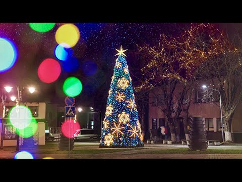 Video: Kaip Pailginti Eglutės Gyvenimą Namuose