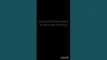 #اكسبلور (آيات من سورة البقرة) #المصحف #لايك(الشيخ عبدالباسط عبدالصمد) #راحة_نفسية #الرحمن