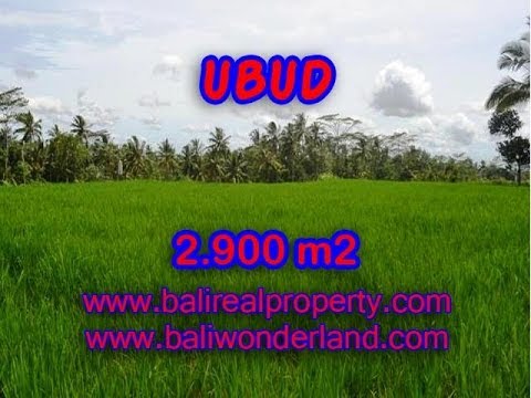  Jual  tanah murah di  Ubud  Bali TJUB356 YouTube