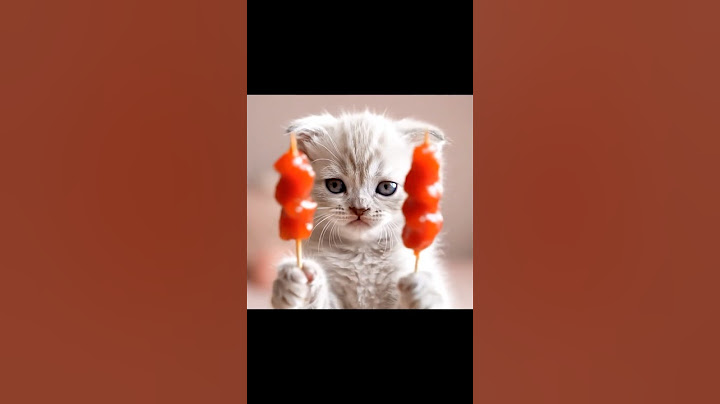 Cat ASMR tanghulu