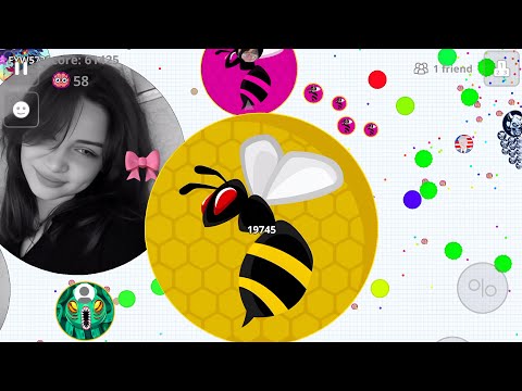 THE BEST DUO AGARIO MOBILE
