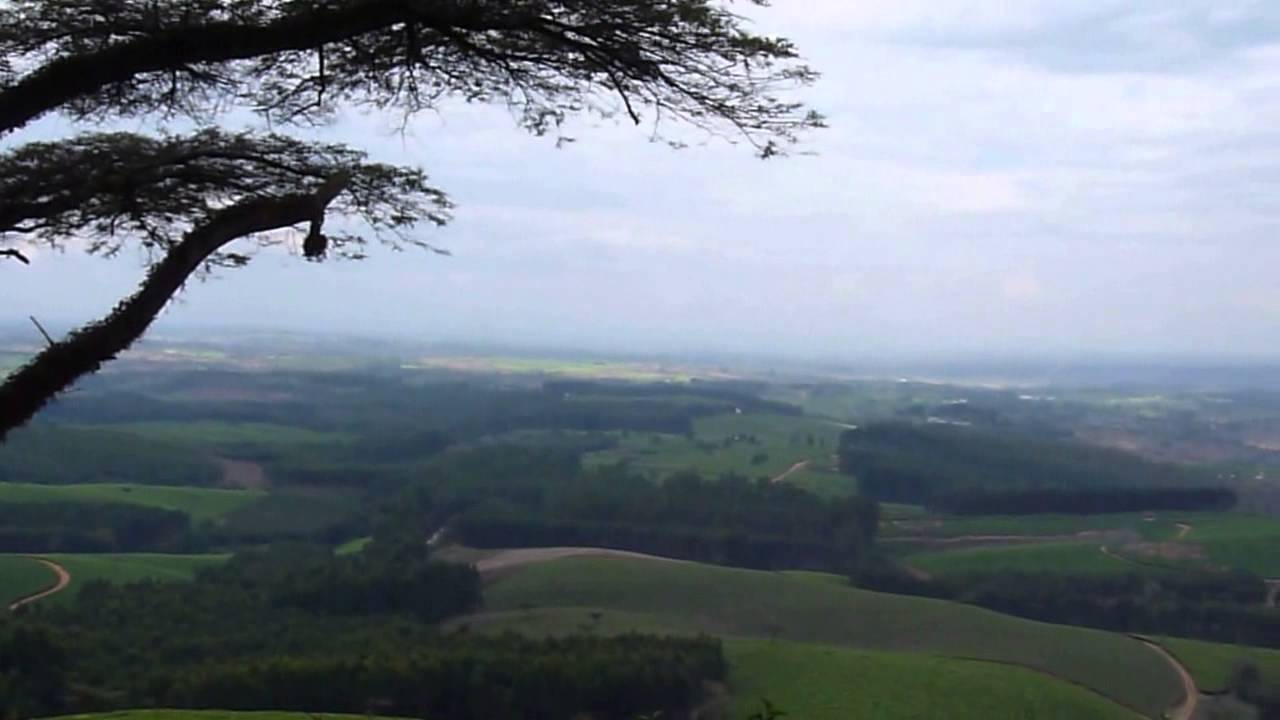 Satemwa Tea & Coffee Plantation