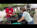Watch Our Greenhouse Come Alive!  It’s Planting Day!