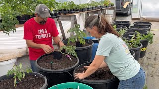 Watch Our Greenhouse Come Alive! It’s Planting Day!