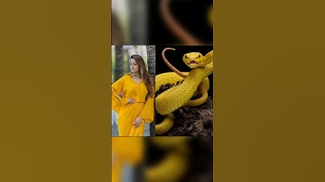 💛💛#all #actress #nagin #same 💗💗colour#dress #photos ❤️❤️