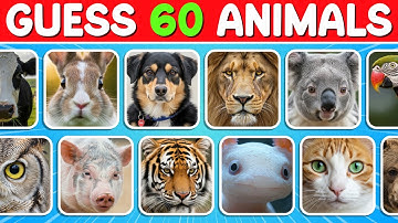 Raad 60 dieren in 3 seconden | Gemakkelijk, Gemiddeld, Moeilijk, Onmogelijk