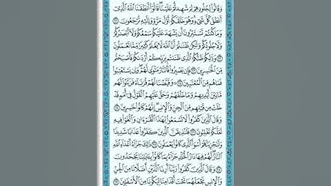 القرآن الكريم - سورة فصلت - القارئ الشيخ محمد فلاتة - ينبع الصناعية