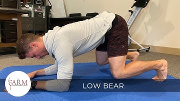 DNS Low Bear (Dynamic Neuromuscular Stabilization)