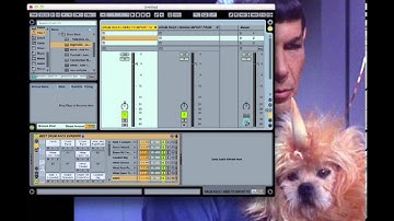 How to add Drum Rack Into Existing Drum Rack in Ableton