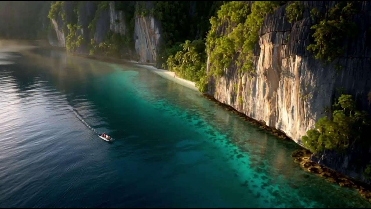 Sunrise Afrobeat Starter Pack | Morning Motivation EDM inspired by David Guetta & Zedd 2025