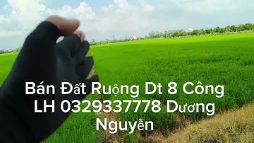 Nhà Đất Bán Đất Ruộng Dt 8 Công Giá 3ty Hết Đất Cái Bè Tiền Giang
