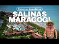 Como  o resort all inclusive mais premiado do brasil   salinas maragogi no caribe brasileiro