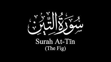 Surah At-Tīn (The Fig) | Sh Yasser Al-Dosary | ياسر الدوسري | سورة التين