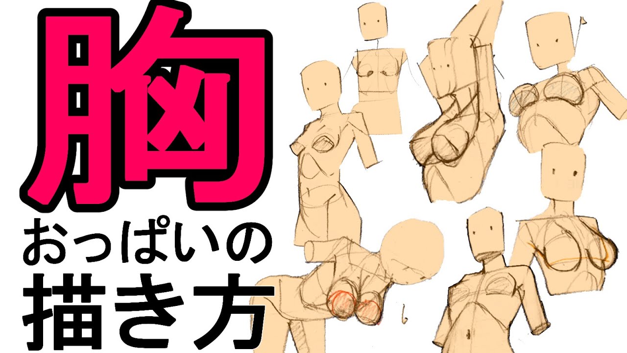 どんな角度からも描ける 胸 おっぱい の描き方 Youtube