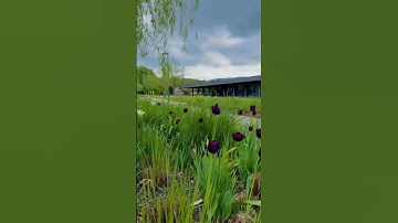 Johannes Kepler University, Linz, Austria in Spring #JKU #linz #austria #vienna #jkupdates