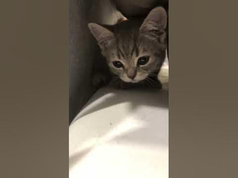 Его зовут шустрик 🥰 - YouTube