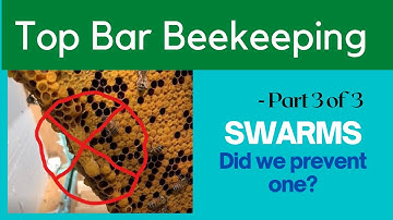 Part 3 of 3: Top Bar Hive - Trying to stop a Swarm. Were we successful?