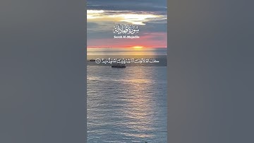 #تلاوات #قرآن كريم #لا غالب إلا الله #اللهم اجعل القرآن الكريم🌱 ربيع قلوبنا❤🤍 ونور صدورنا يا رب