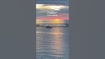#تلاوات #قرآن كريم #لا غالب إلا الله #اللهم اجعل القرآن الكريم🌱 ربيع قلوبنا❤🤍 ونور صدورنا يا رب