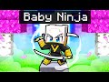 ZEYXON È DIVENTATO un BABY NINJA in Minecraft!
