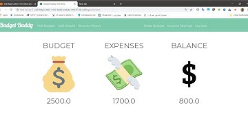 My CS50 Final Project: Budget Buddy