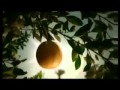 الي بنا مصر غناء على الحجار