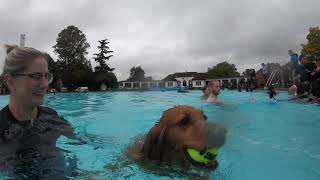 Sandford Parks Lido Cheltenham