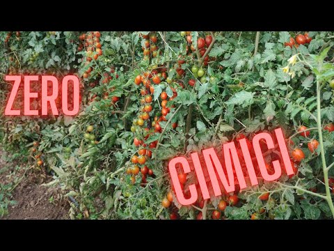 Video: Come Affrontare Il Maltempo In Giardino E Orto