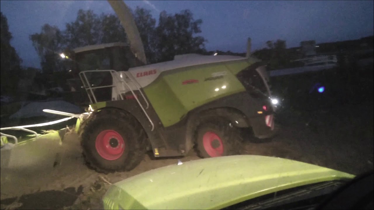 Kukurydza 2019 Malanów Nowy Nabytek