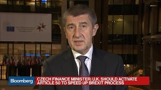 Czech Repubic's Babis: Ready to Negotiate Deal With U.K.