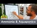 Ammonia & Aquaponics Systems