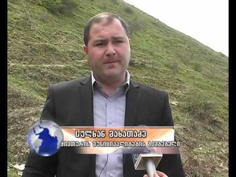 იმერვიზია 2014 ჭიათურელთა კავშირმა ნერგები დარგო