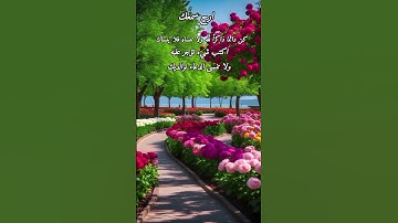 قرآن كريم قمة الخشوع ماهر المعيقلي