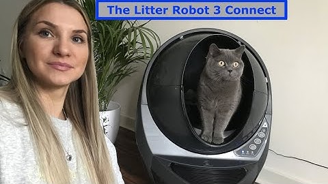 The Litter Robot 3 Connect Overview! Automatic Self-Cleaning Litter Box!