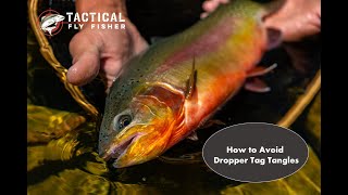 How to Avoid Dropper Tag Tangles when Fly Fishing