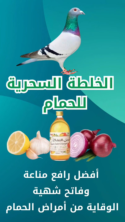 خلطة سحرية للحمام | مضاد حيوي طبيعي | رافع مناعة طبيعي علاج ووقاية من معظم  امراض الحمام