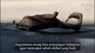 Story Sabrang mowo damar panuluh | jujur pada diri sendiri