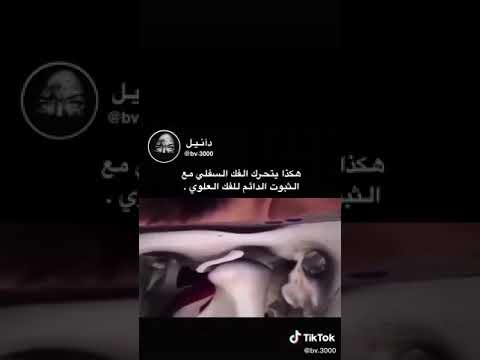هكدا يتحرك الفك السفلي