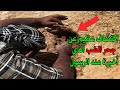 اكتشاف عظيم عن جحر الضب الذي أخبرنها عنه الرسول